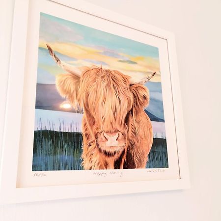 Modern And Spacious Double&King Bedrooms Both With Private Bathrooms Edinburgh Eksteriør billede